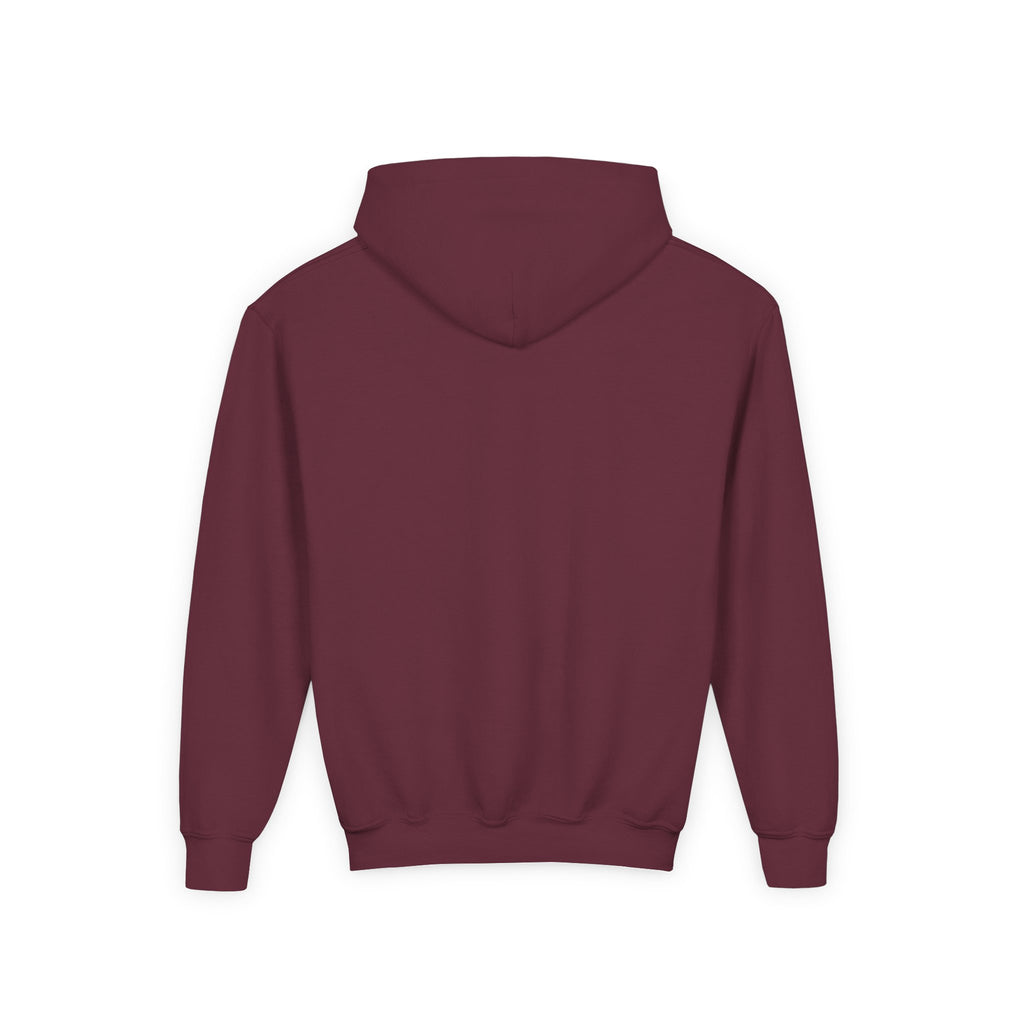 Kingdom Swing Co. Youth Christian Baseball Hoodie